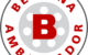 logo Bernina